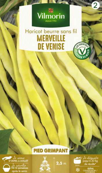 Légumes Secs - Haricot Grimpant Beurre Merveille de Venise - PACKAGING_RECTO